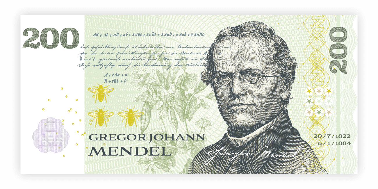 Paměťovka Gregor Johann Mendel